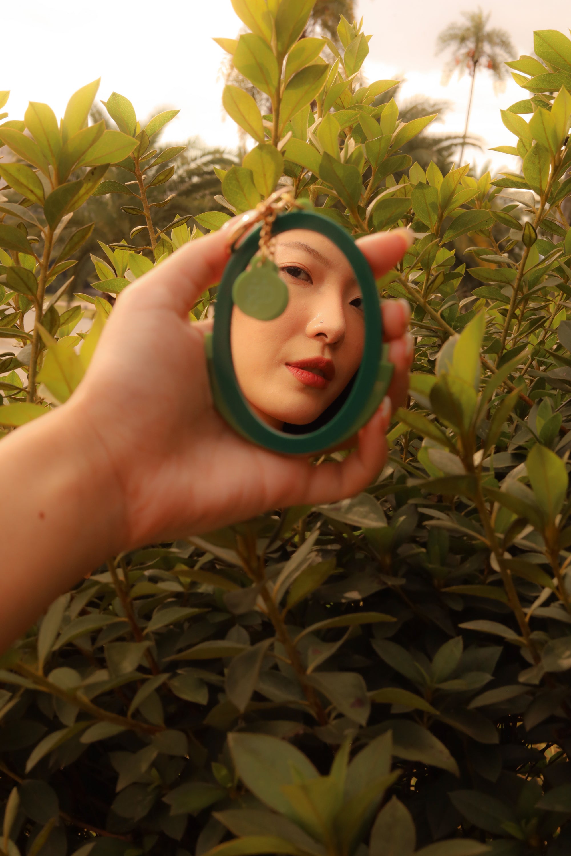 MIRROR PURSE BEETLE
